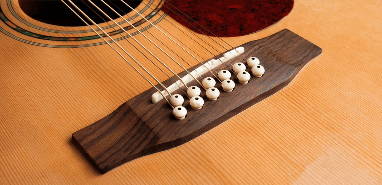 12 Panel String Instant 12 String Guitar: Solo & Strummer VST | Soundpaint