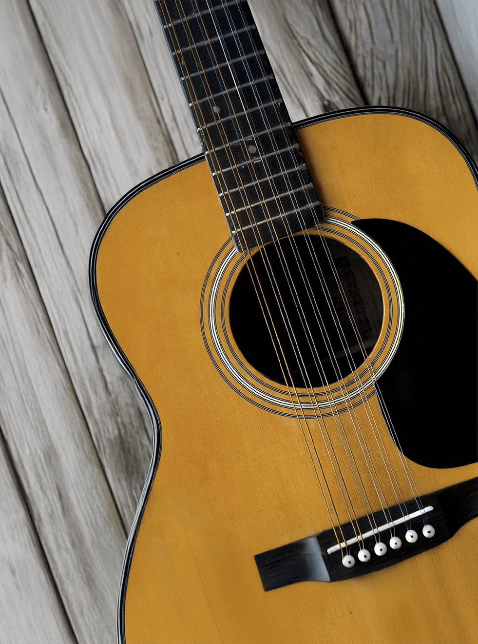 12 String Instant 12 String Guitar: Solo & Strummer VST | Soundpaint