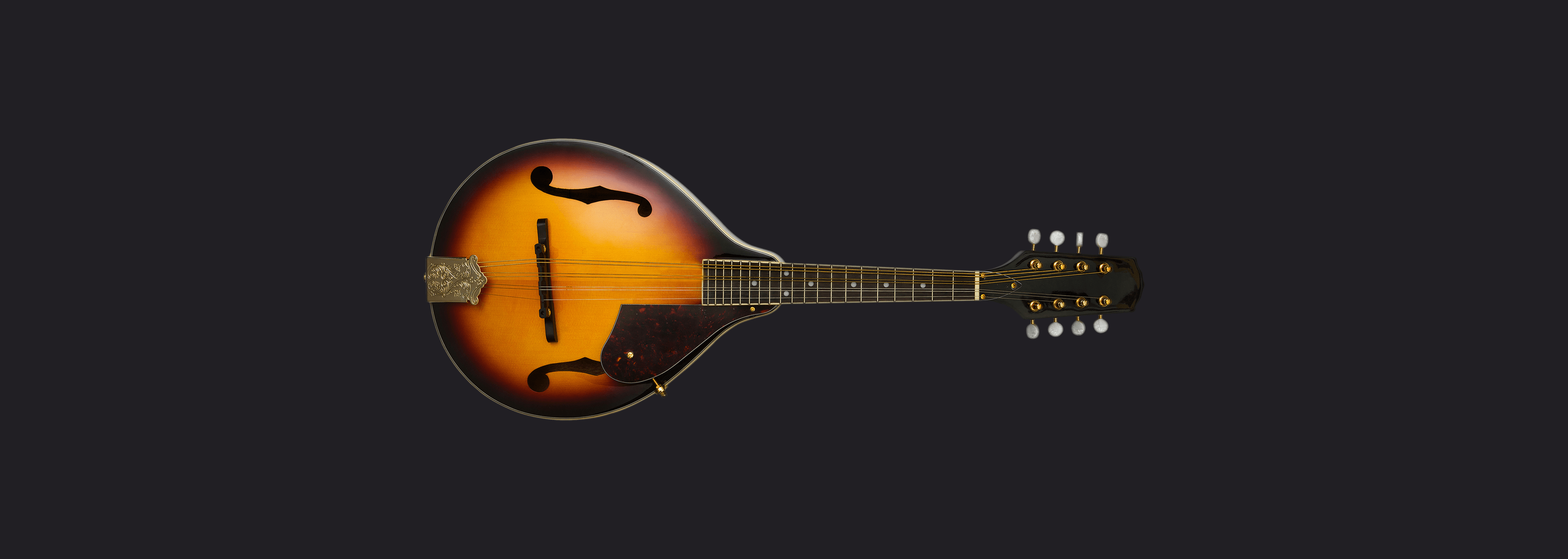 Instant Mandolin