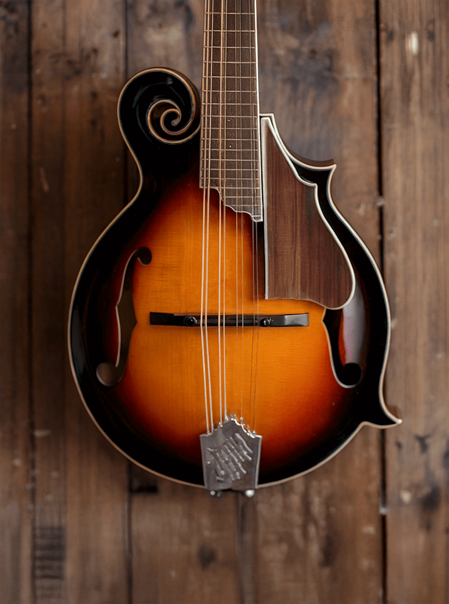 Menxolin Instant Mandolin - Soundpaint Mandolin