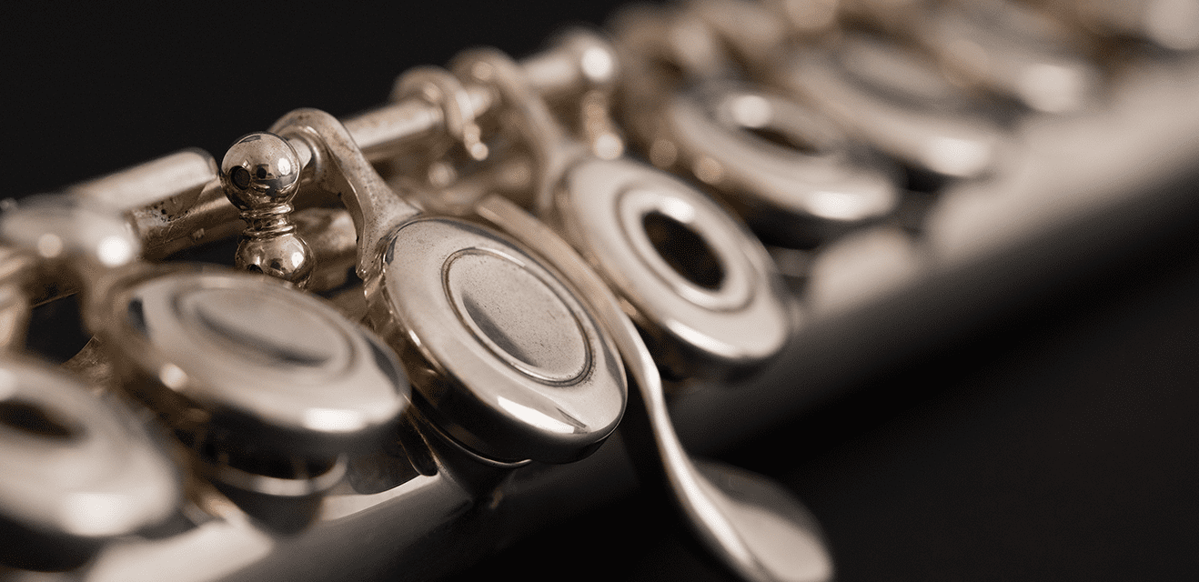 Alto String Instrument Alto Flute Instrument